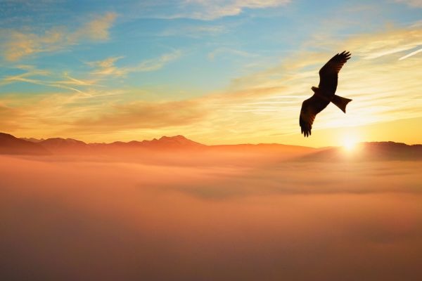 Zurückgeblickt – Die gesammelten Erkenntnisse.